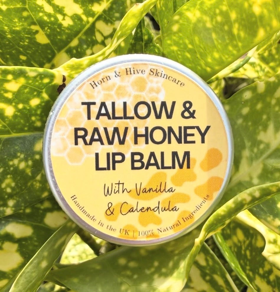 Tallow & Raw Honey Lip Balm